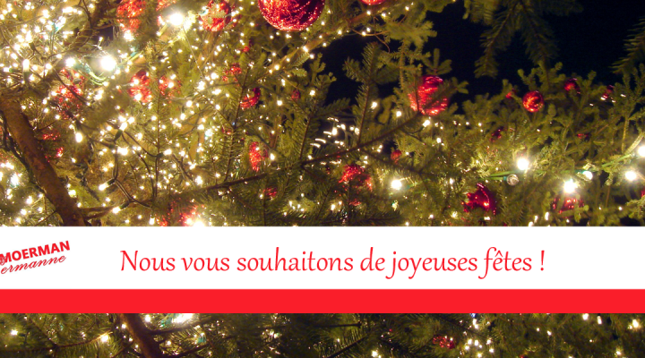 Joyeuses fêtes en cette fin d'année !