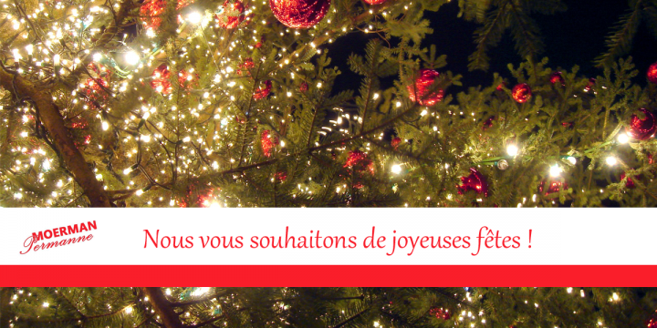 Joyeuses fêtes en cette fin d'année !