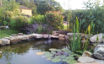 Jardin : bien aménager son bassin à poisson dans son terrain