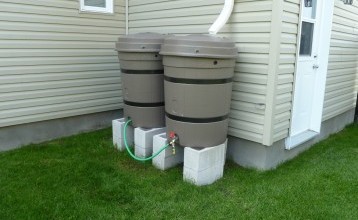 Jardinage : pourquoi et comment utiliser un récupérateur d’eau ?