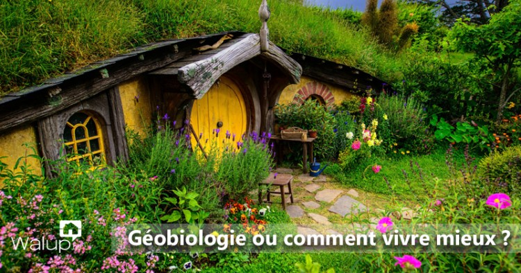 Géobiologie ou comment vivre mieux dans son habitat ?