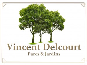 Delcourt Vincent