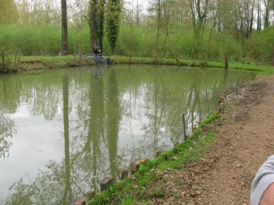 Etang (1)