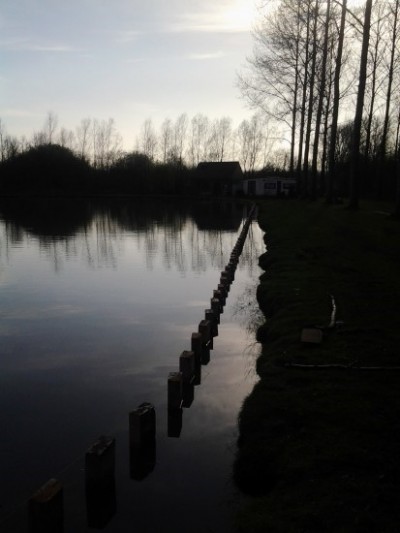 Etang et terrassement