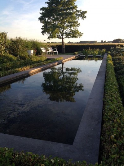 Jardin avec pièce d'eau naturelle