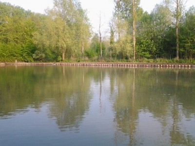 Etang et terrassement