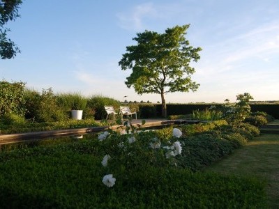 Jardin avec pièce d'eau naturelle