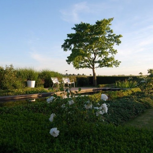 Jardin avec pièce d'eau naturelle