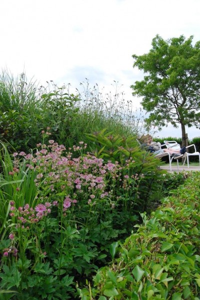 Jardin avec pièce d'eau naturelle