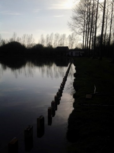 Etang et terrassement