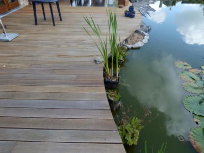 Terrasse en bois et Pergola