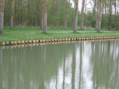 Etang (2)