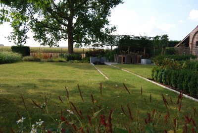 Jardin de campagne structuré