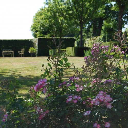 Jardin-verger structuré