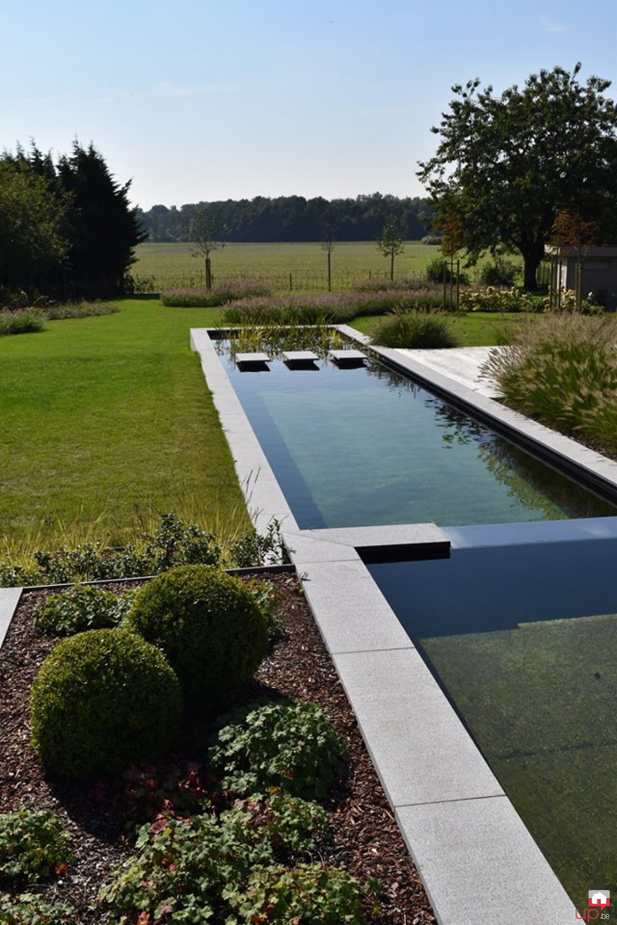  Piscine  naturelle  Ath par Actual Garden  sprl