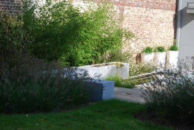 Jardin avec pièce d'eau contemporaine