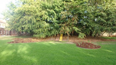 Aménagement du jardin de l'école d'Anseroeul