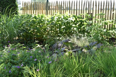 Jardin de campagne structuré