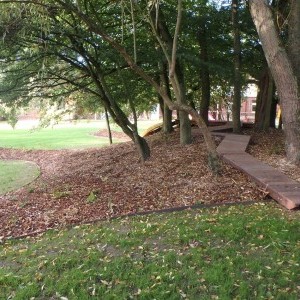 Aménagement du jardin de l'école d'Anseroeul