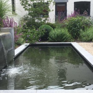 Petite pièce d'eau dans un jardin de ville aménagé en 2015