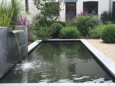 Petite pièce d'eau dans un jardin de ville aménagé en 2015