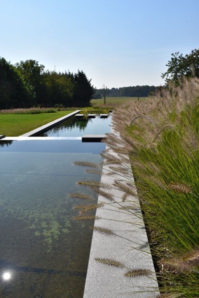 Piscine naturelle