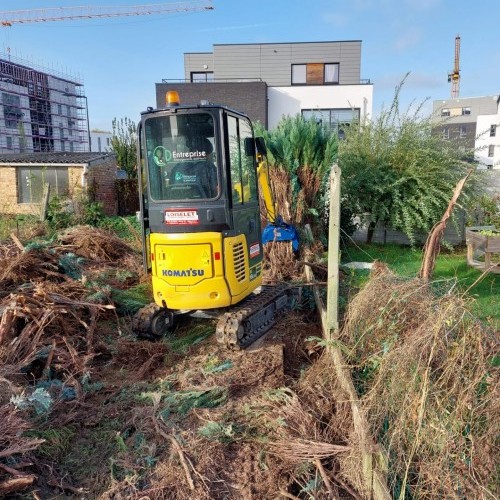 Abattage haie de sapins et nettoyage terrain