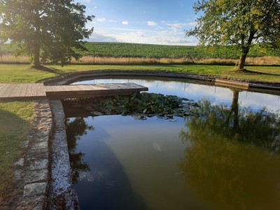 Création d'un ponton d'agrémentation pour un étang