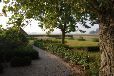 Jardin de campagne structuré