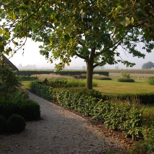 Jardin de campagne structuré