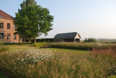 Jardin de campagne structuré